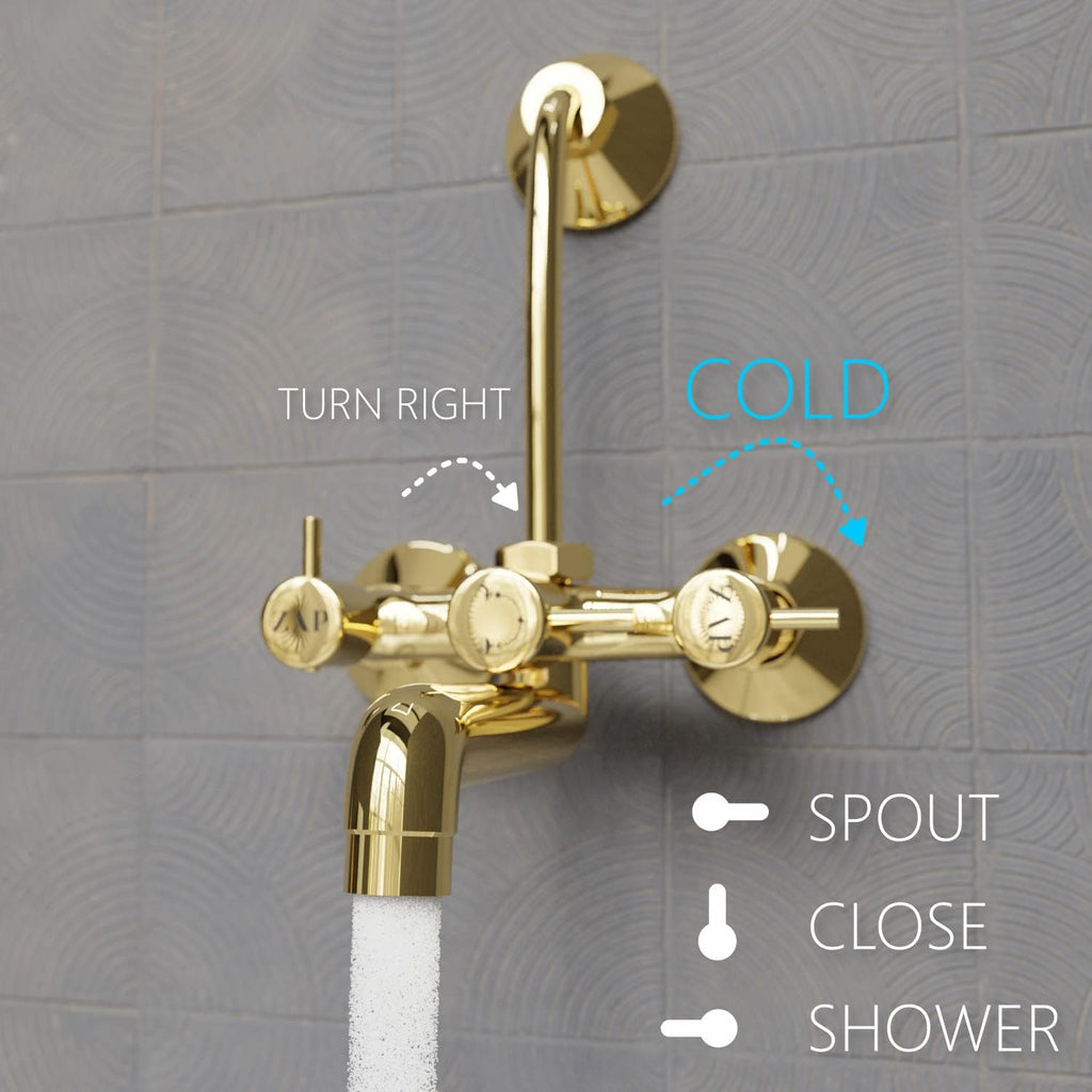 Elixir Gold Series High Grade Brass 2 in 1 Wall Mixer With L Bend / Overhead Shower / Hand Shower Set